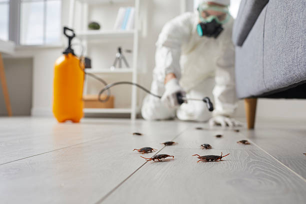 Commercial Kitchen Cockroach Control in Newport